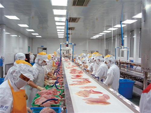 臭氧發生器應用在食品加工各個方面消毒