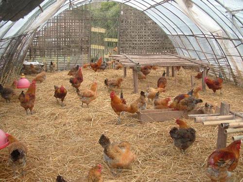 1622708088266403.jpg 5262.jpg